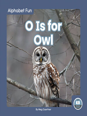 cover image of O Is for Owl